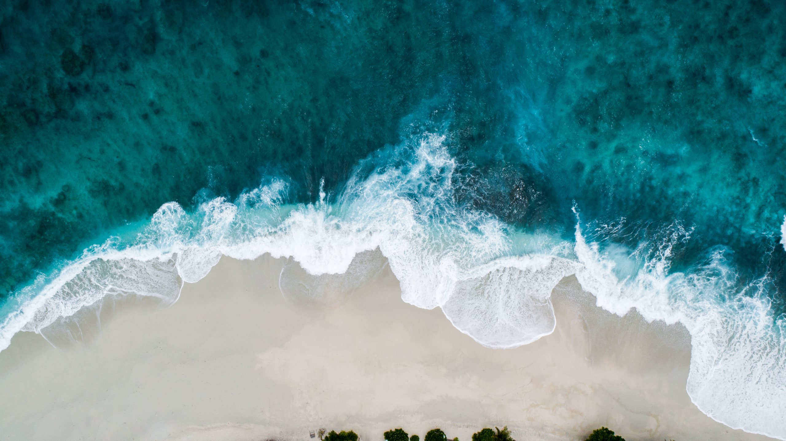 tidal beach landscape